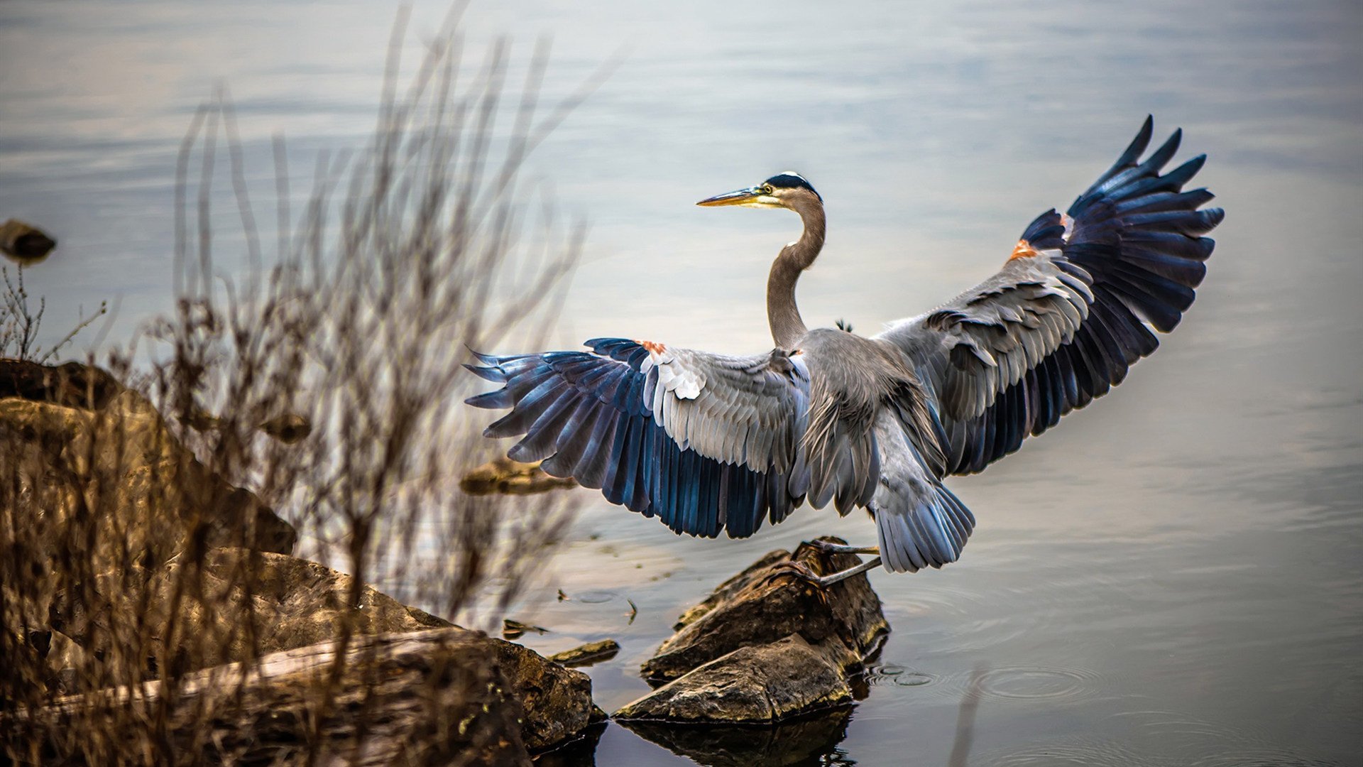 “高新体育中心：羽毛球选手们上演极限对决”