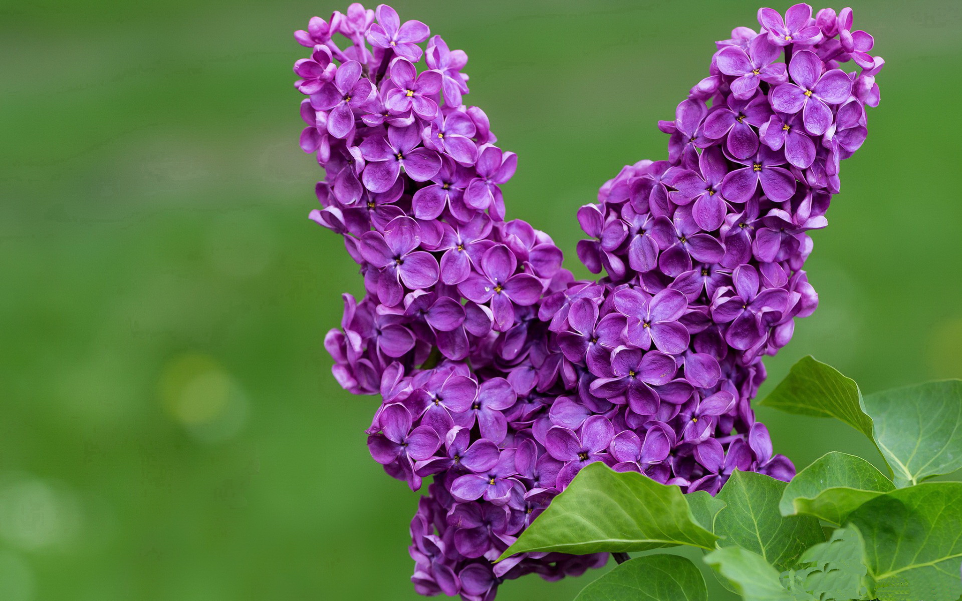 男子4x100混合接力破赛会纪录,4x400米混合接力赛回放