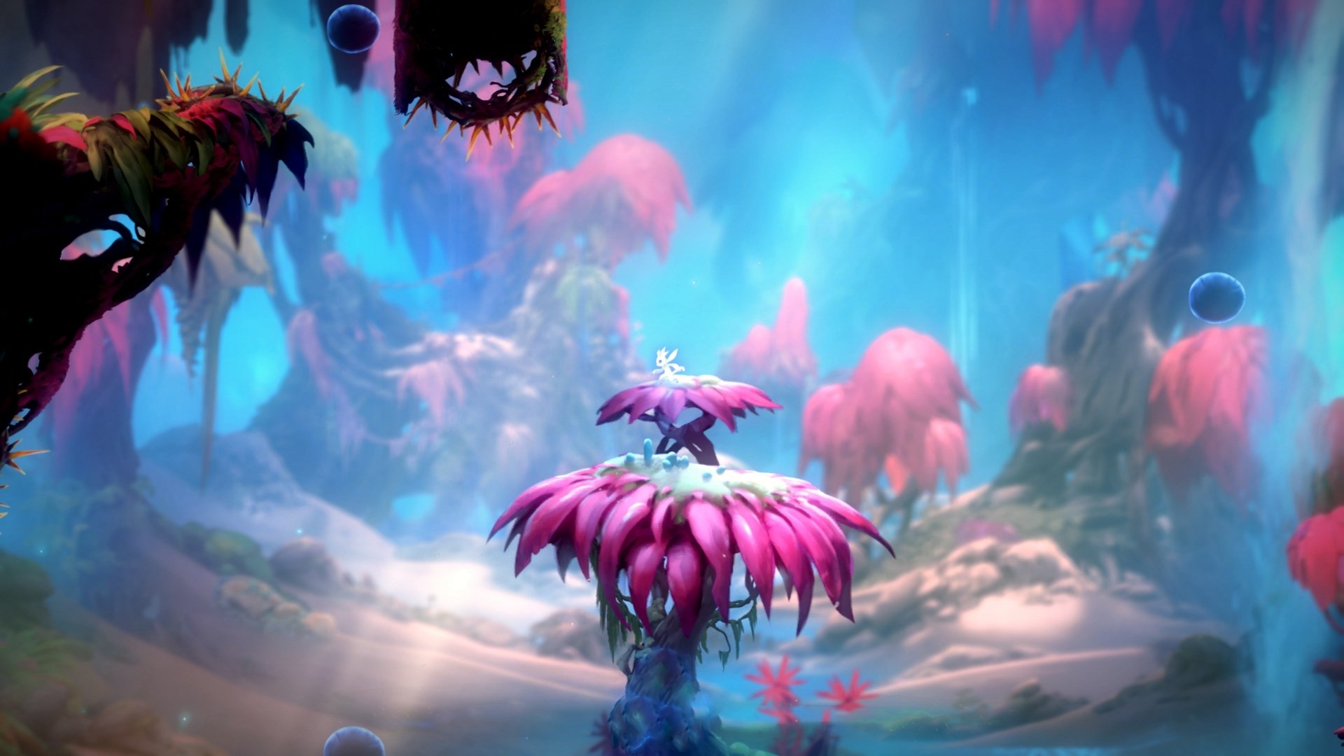 “南非羚羊队的防线支柱：埃尔斯·霍斯特的不可替代性”