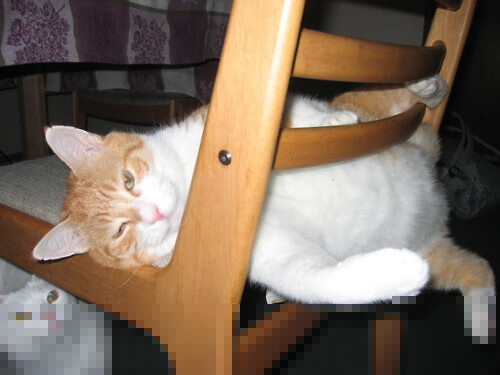 开云体育-中国香港队赛制分析：如何突破团体赛中的关键挑战，香港队名单