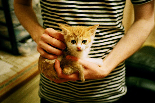 传切战术的执行时间与出手机会关系，传切战术配合的概念