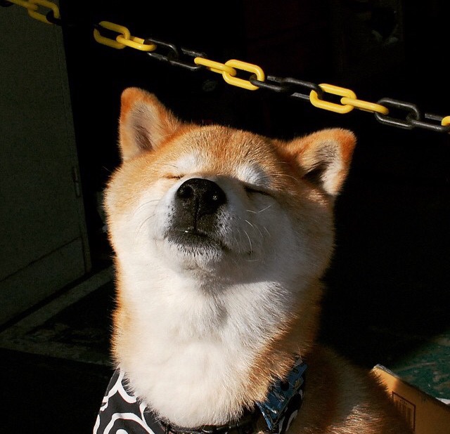 浙江雄狮在训练中注重攻防转换节奏,雄狮建筑装饰股份有限公司